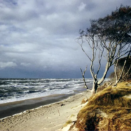 Seehaus-zingst *